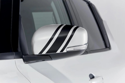 Door Mirror Decal (Black)