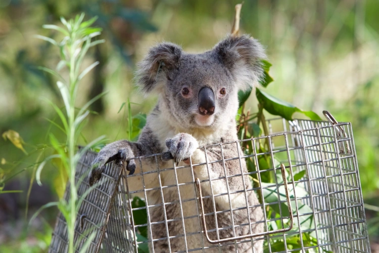 EVE article gallery image 11