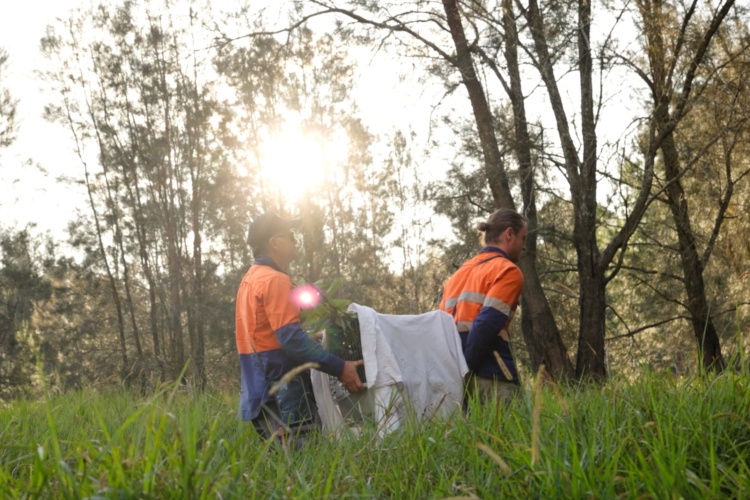 Suzuki Queensland Partners with EVE article gallery image 4