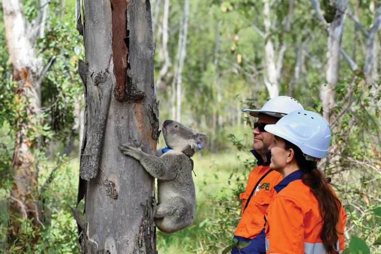 EVE article gallery image 15