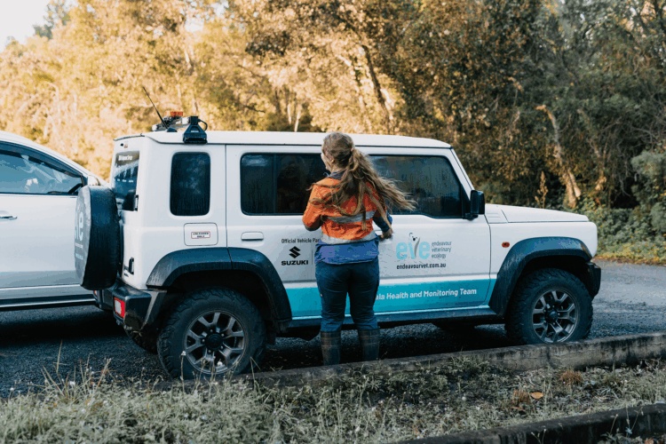 Suzuki Queensland Partners with EVE article gallery image 1