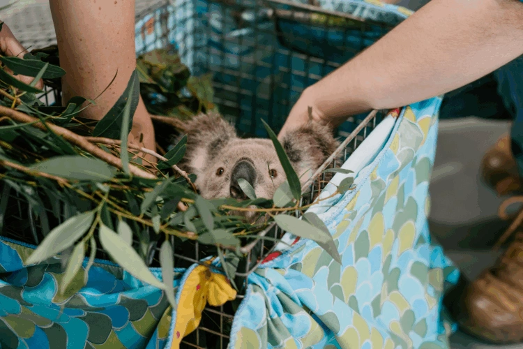 EVE article gallery image 5