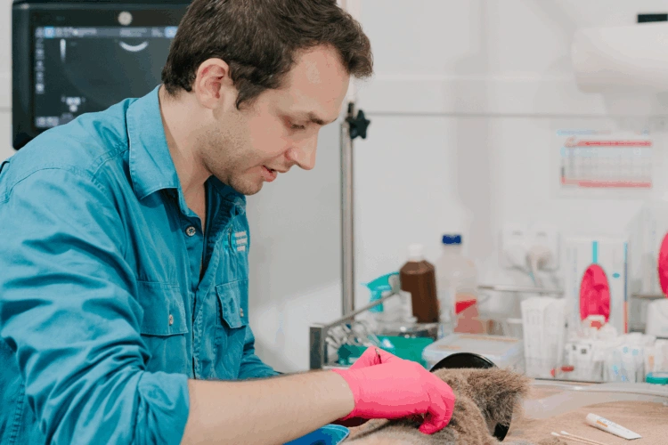 EVE article gallery image 6