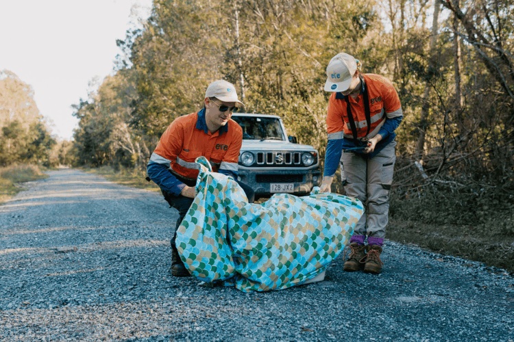 Suzuki Queensland Partners with EVE article gallery image 7