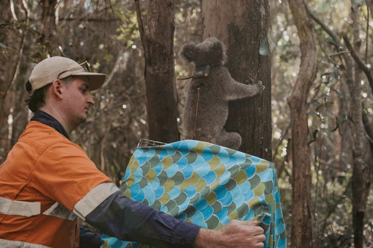 EVE article gallery image 8