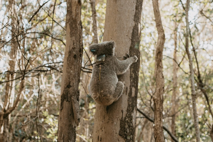 EVE article gallery image 9