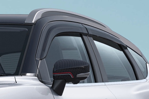 Door Visor Smoke Grey